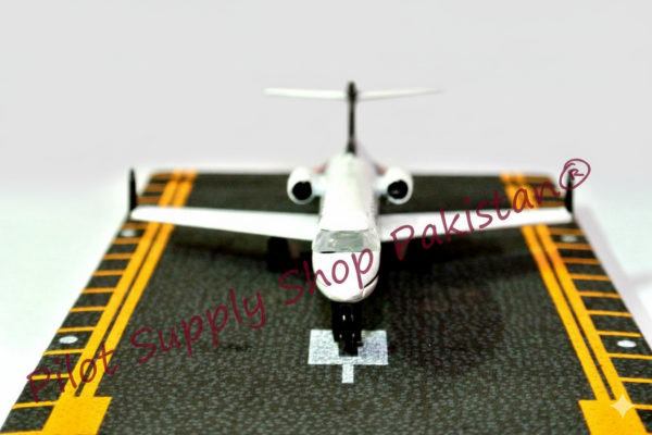 PRIVATE JET MINIATURE MODEL